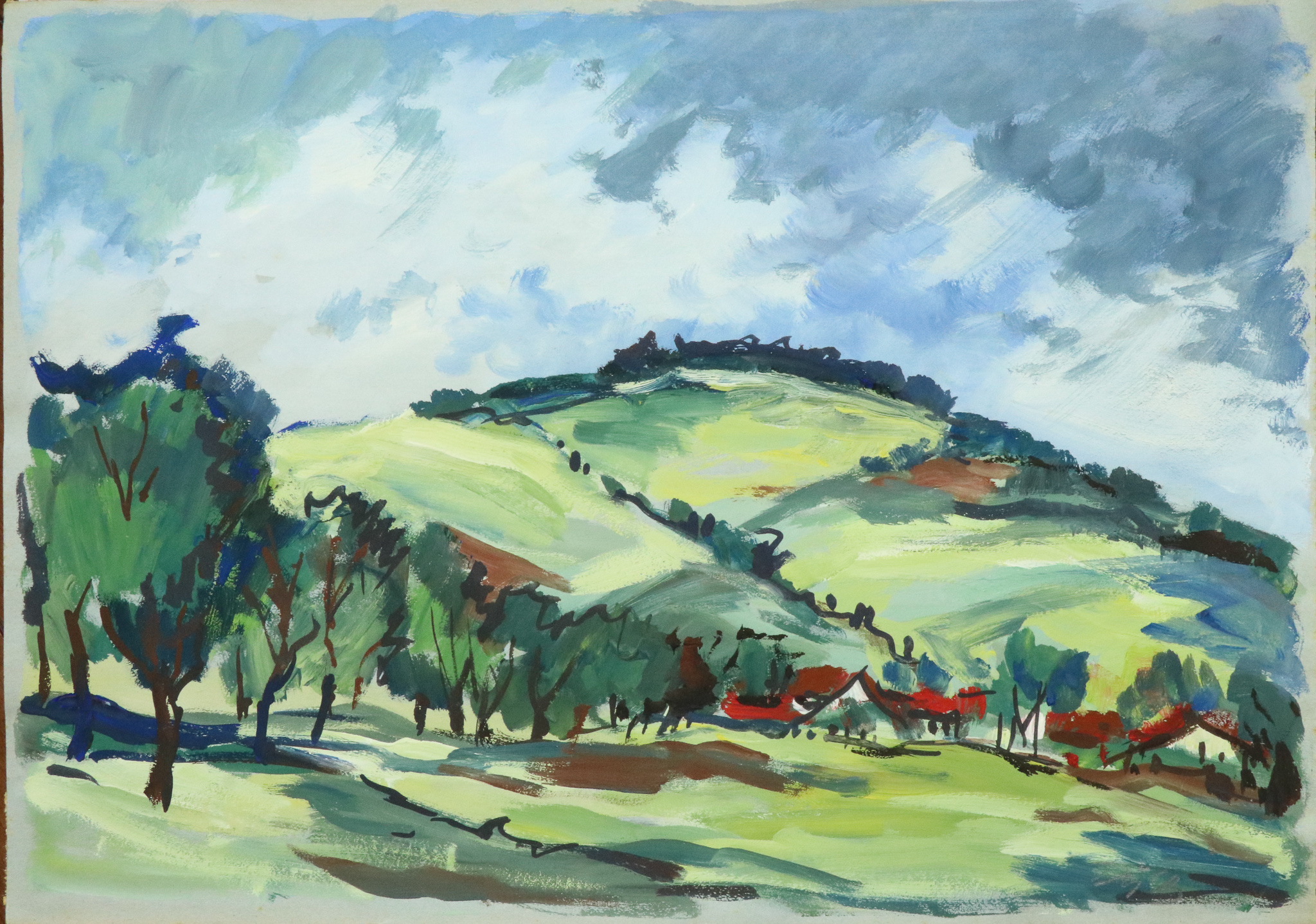 Bergkuppe mit Feldern